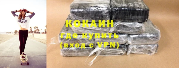 apvp Бородино