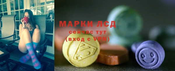 apvp Бородино