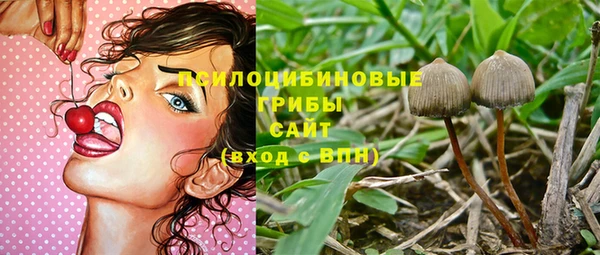 apvp Бородино