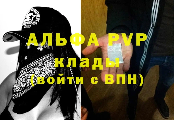 apvp Бородино